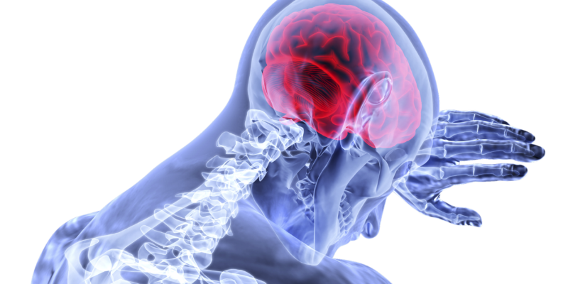Medical illustration of a translucent human upper body and skeleton, highlighting the brain in red to emphasize neurological focus or headache.
